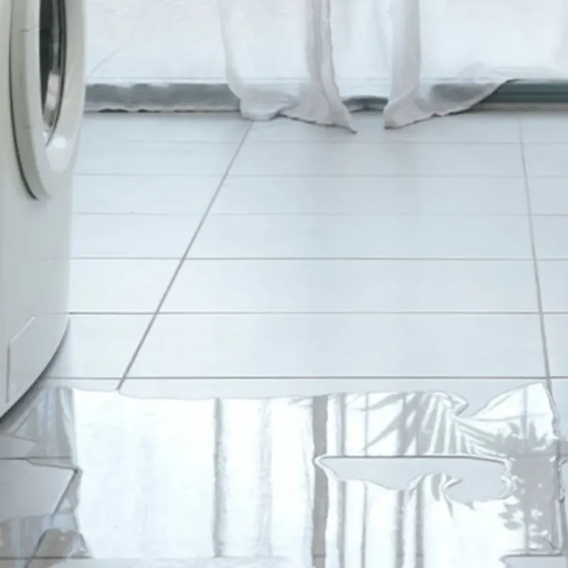 Appliance Leak Cleanup in San Andreas, CA