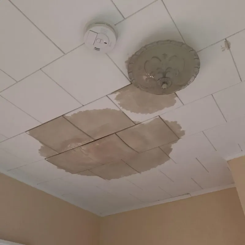 Ceiling Water Damage Repair in San Andreas, CA