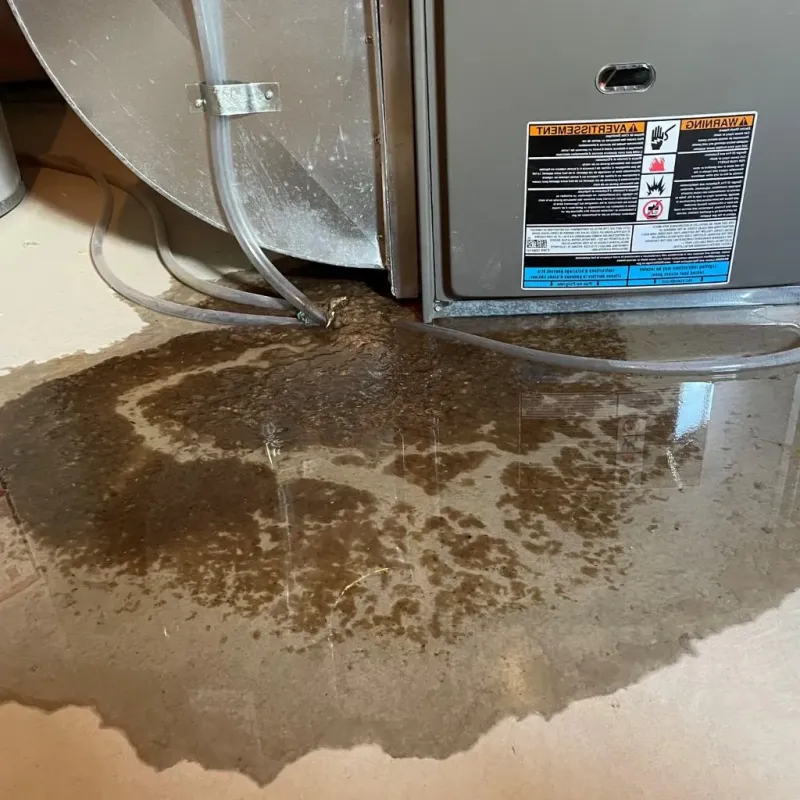Pipe Burst and Leak Restoration in San Andreas, CA