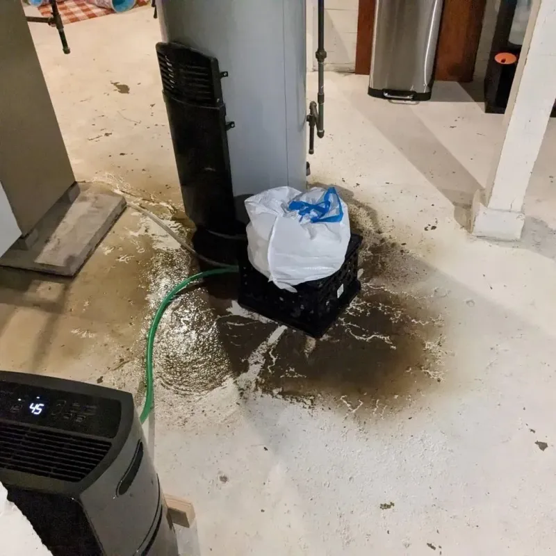 Sewage Backup Cleanup Service in San Andreas, CA